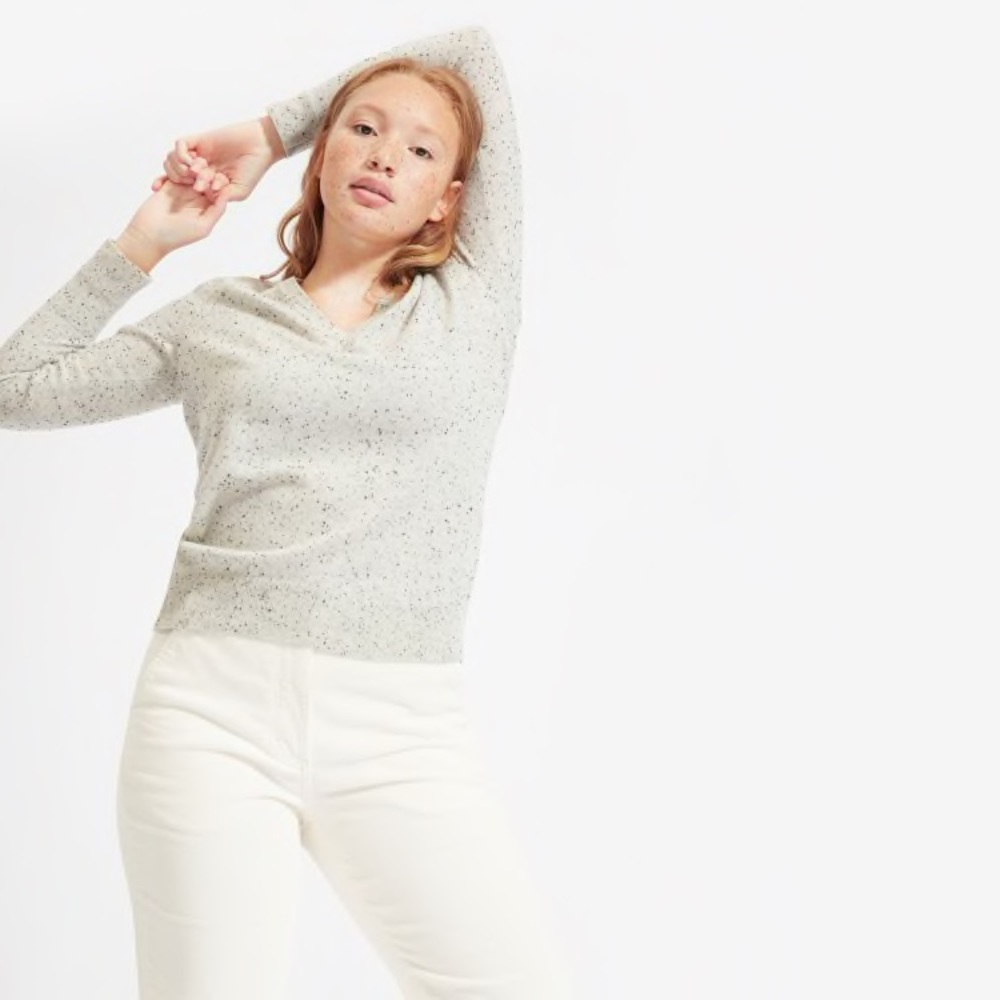 Everlane Cashmere V-Neck